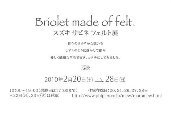 Briolet made of felt   /　スズキサビネフェルト展2